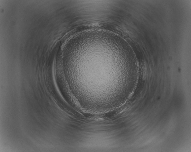 X0000070220747200605301430