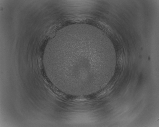 X0000070220749200605301430