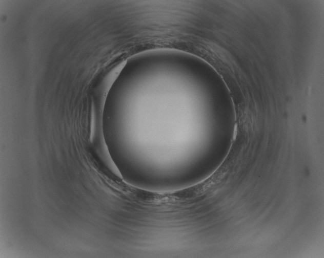 X0000070220752200605301430