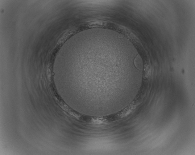 X0000070220753200605301430