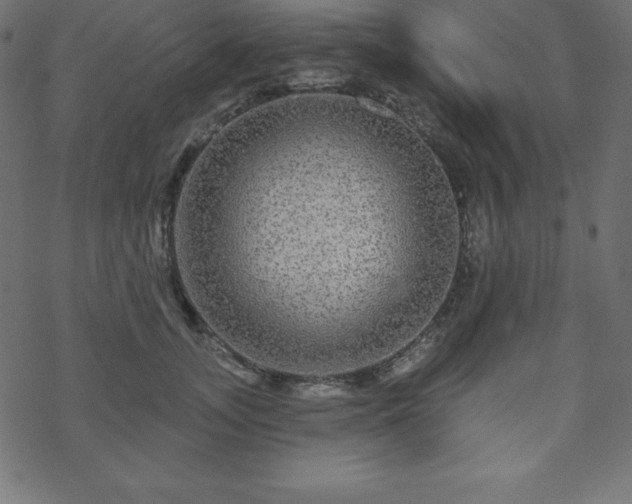 X0000070220755200605301430