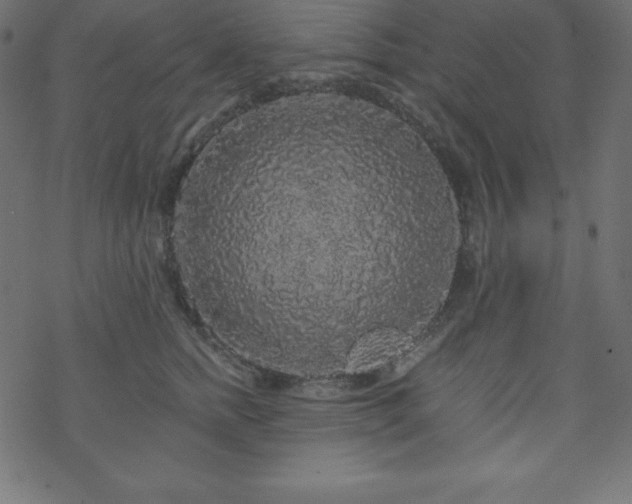 X0000070220758200605301430
