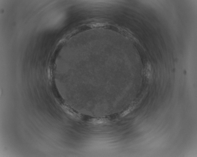 X0000070220763200605301430