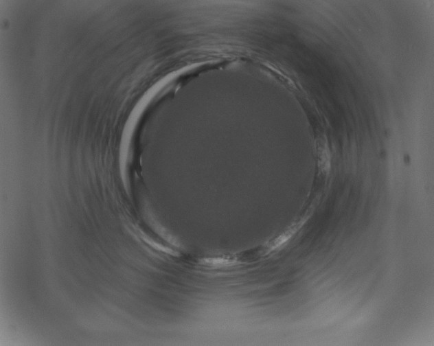 X0000070220766200605301430