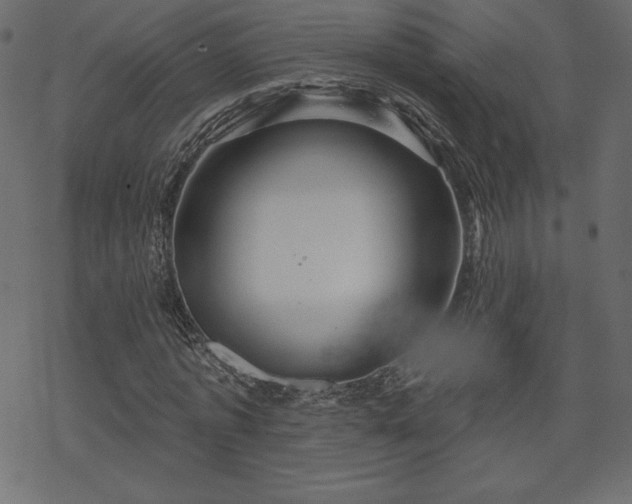 X0000070220773200605301430