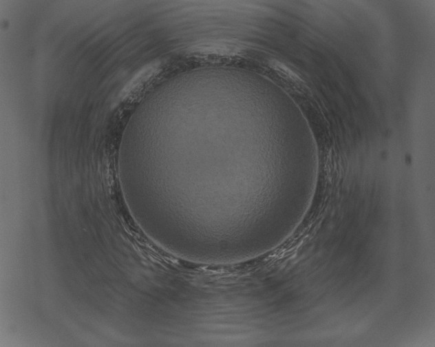 X0000070220774200605301430