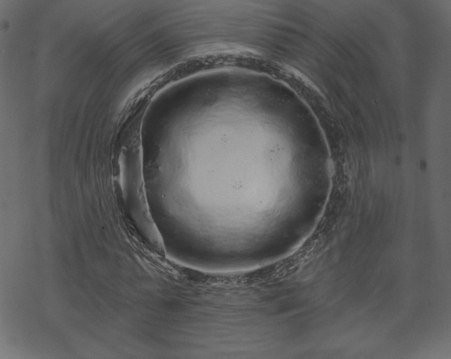 X0000070220775200605301430