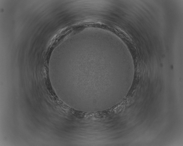 X0000070220776200605301430