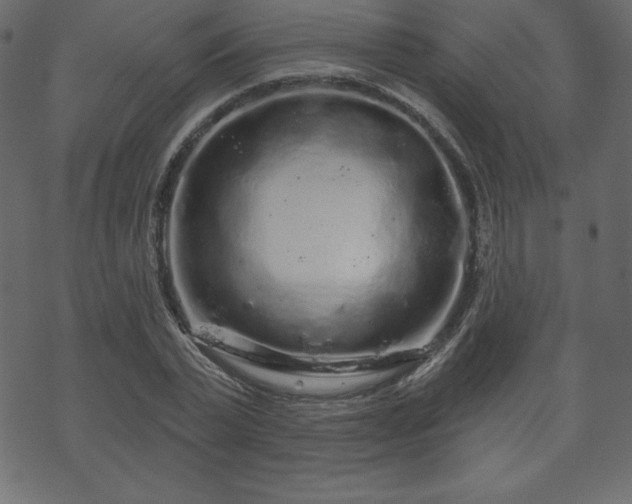 X0000070220783200605301429