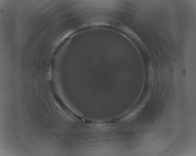 X0000070220785200605301429