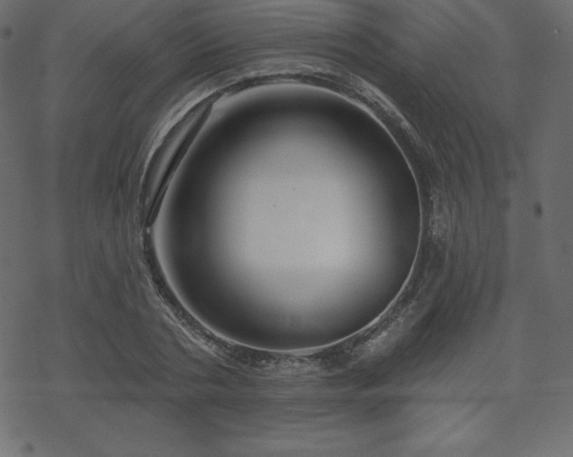 X0000070220786200605301429