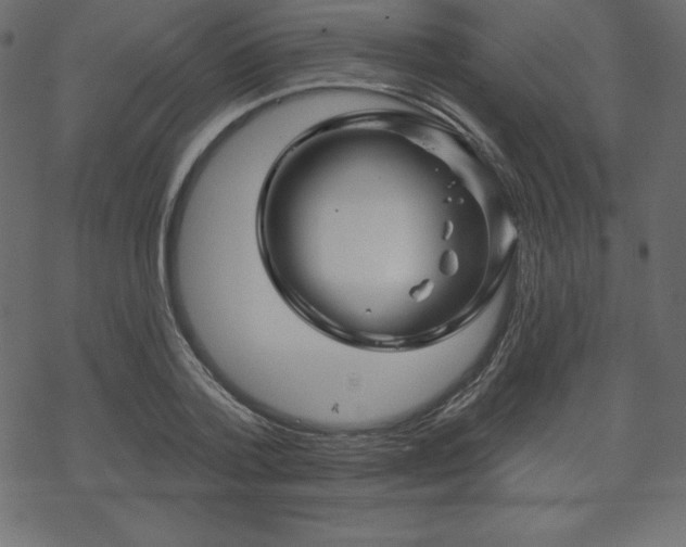 X0000070220788200605301429