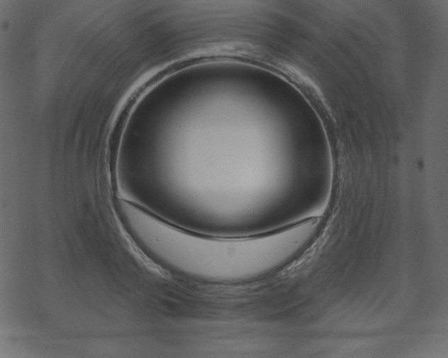 X0000070220792200605301429