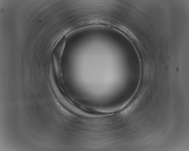 X0000070220801200605301429