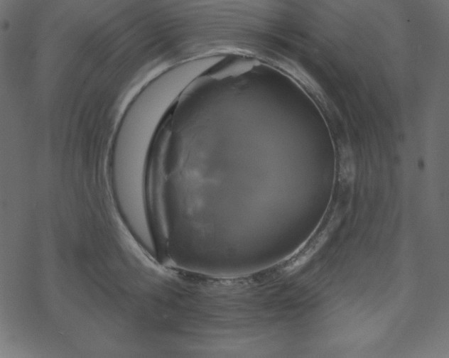 X0000070220806200605301429