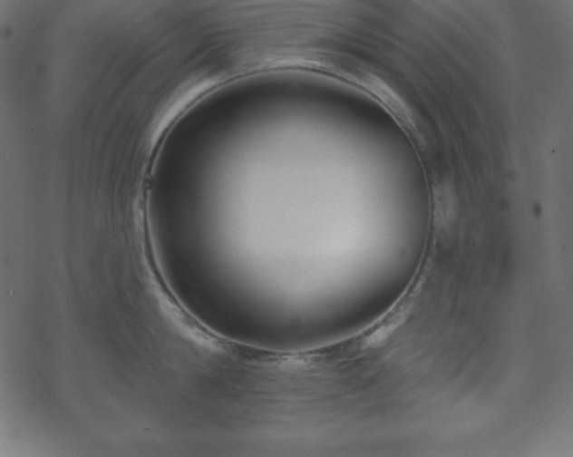 X0000070220814200605301429