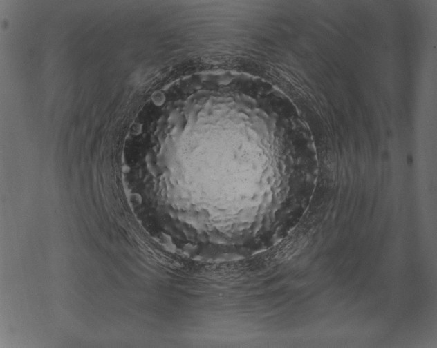 X0000070220817200605301428