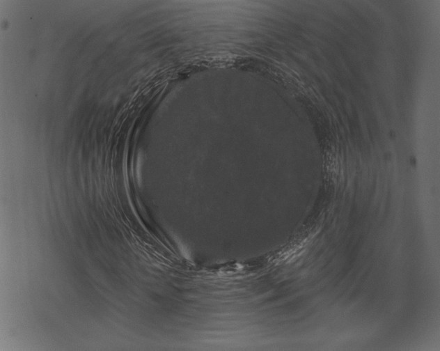X0000070220818200605301428