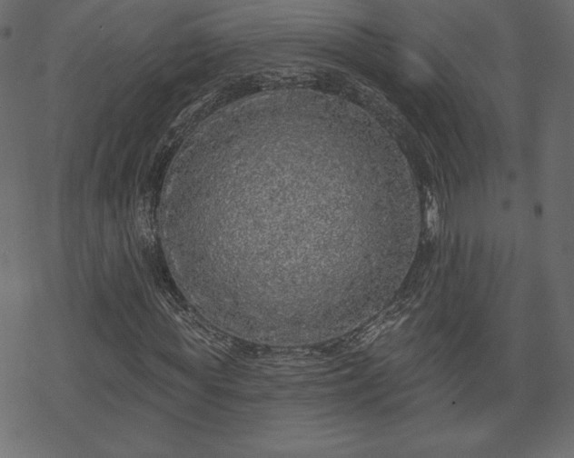 X0000070220819200605301428