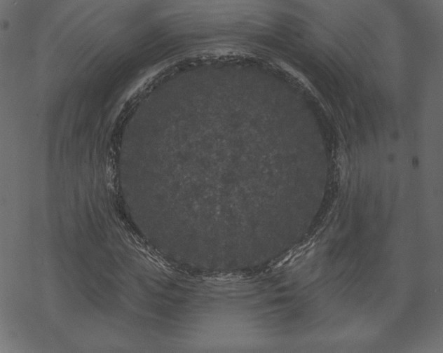 X0000070220823200605301428