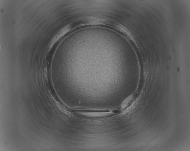 X0000070220827200605301428