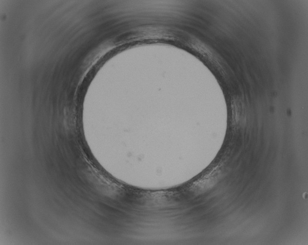 X0000070220828200605301428