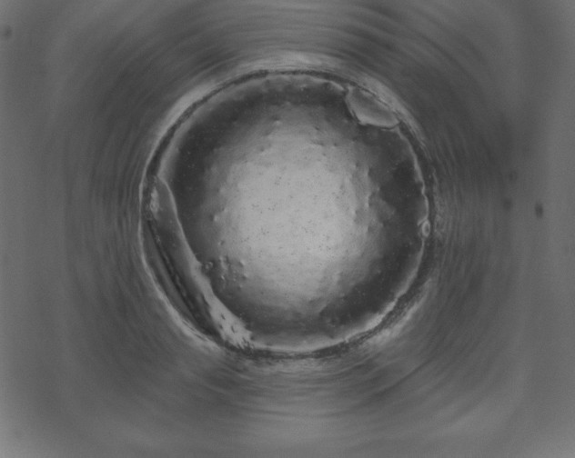 X0000070220845200605301429