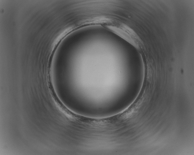 X0000070220850200605301429