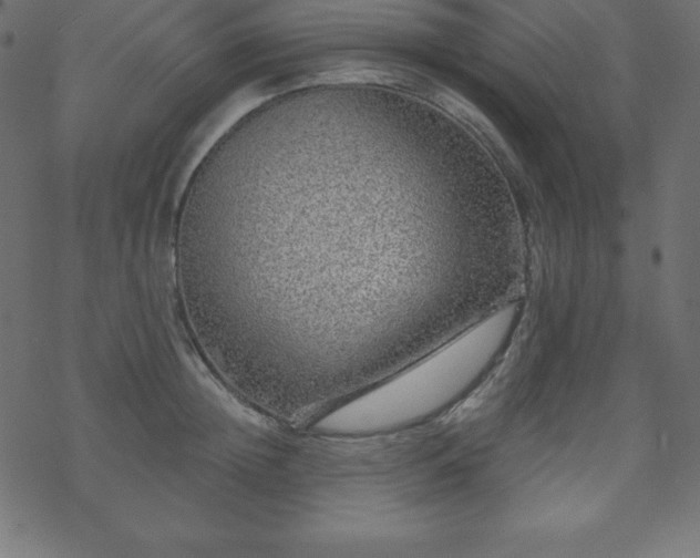 X0000070220852200605301429