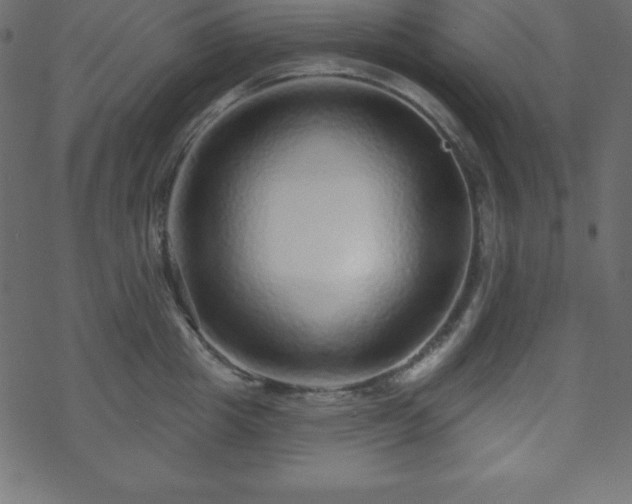 X0000070220857200605301429