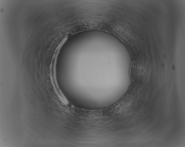 X0000070220865200605301428