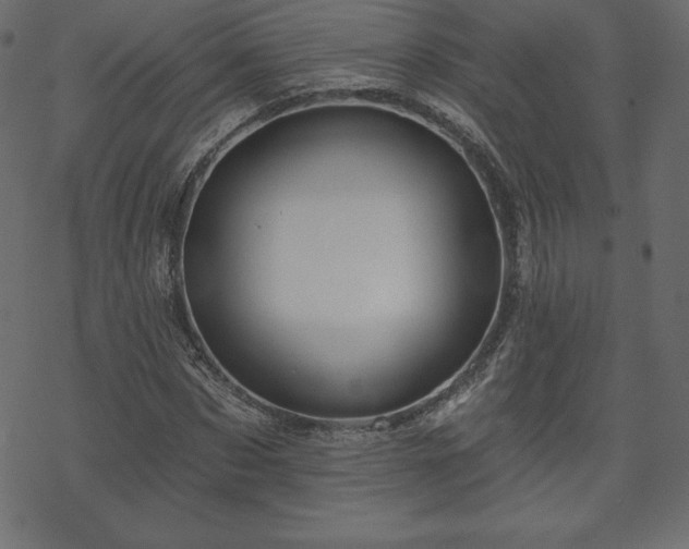 X0000070220873200605301428