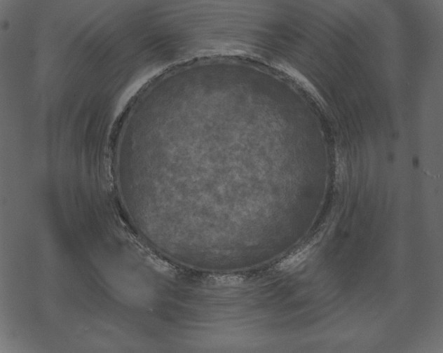 X0000070220878200605301428