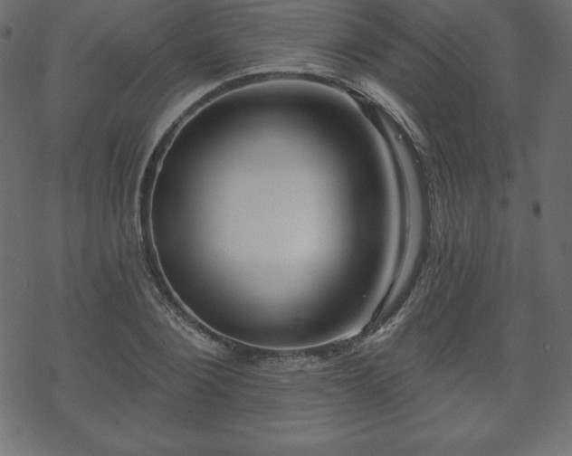 X0000070220884200605301428