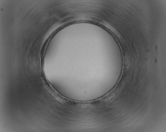 X0000070220886200605301428