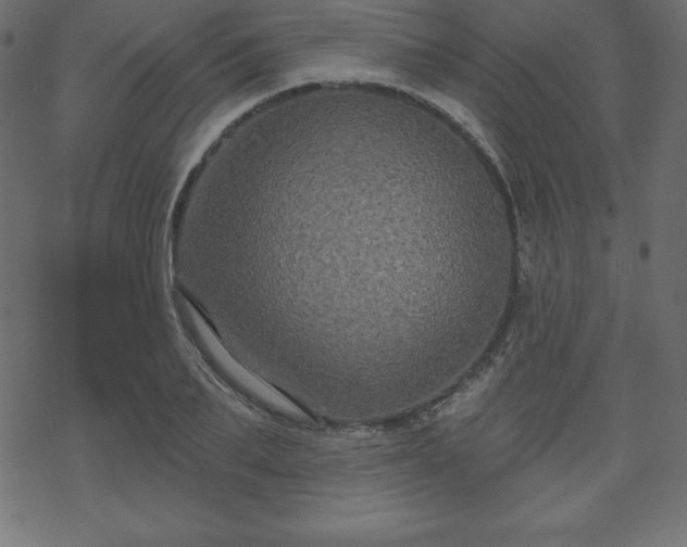 X0000070220887200605301428