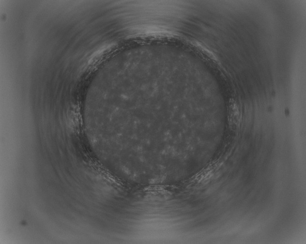 X0000070220918200605301427