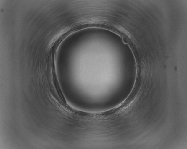 X0000070220922200605301427