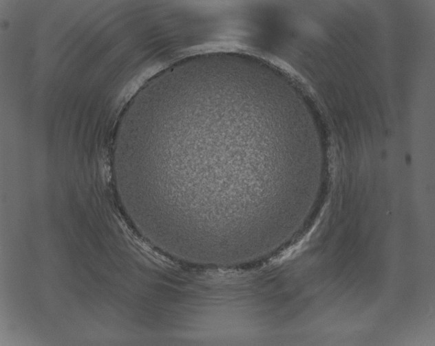 X0000070220929200605301427