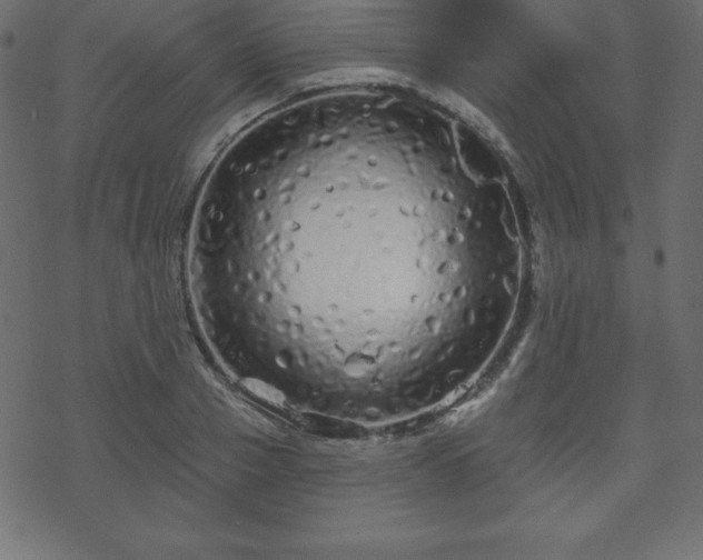 X0000070220937200605301427