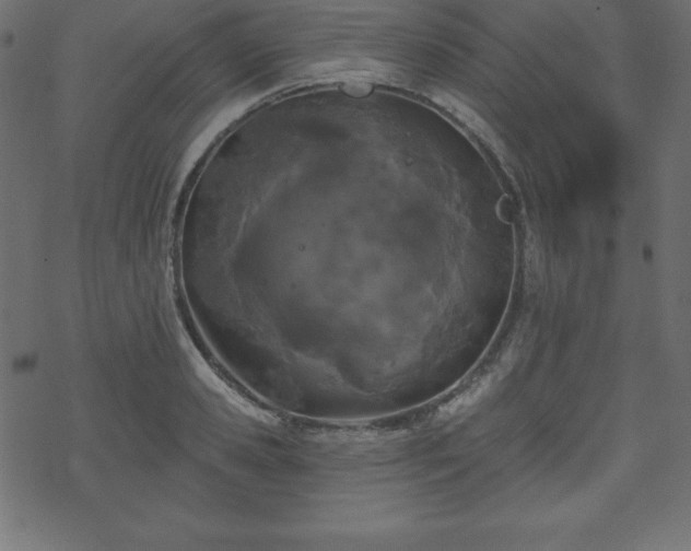 X0000070220941200605301427