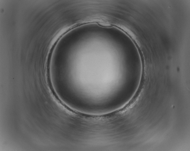 X0000070220949200605301427