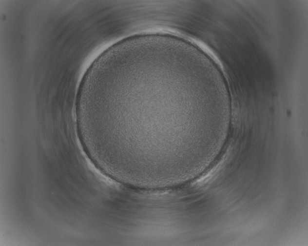 X0000070220951200605301427