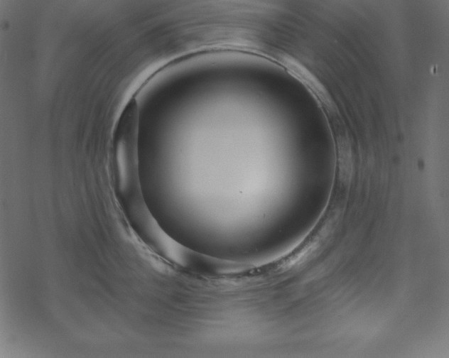 X0000070220956200605301427