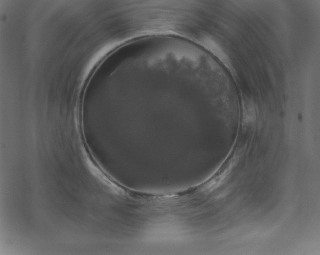 X0000070220958200605301427
