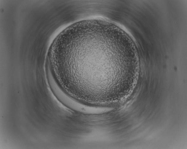 X0000070220959200605301427