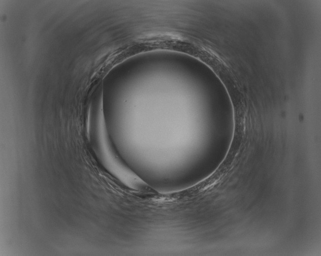 X0000070220965200605301427