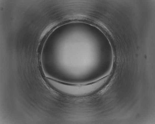 X0000070220978200605301426