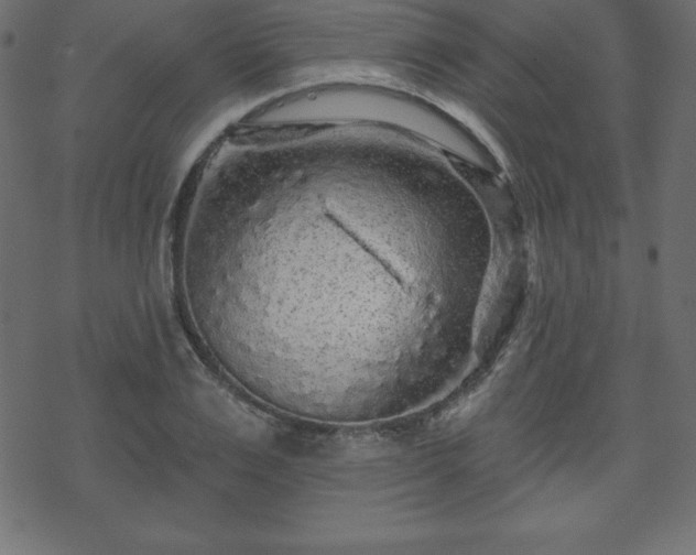 X0000070220983200605301426