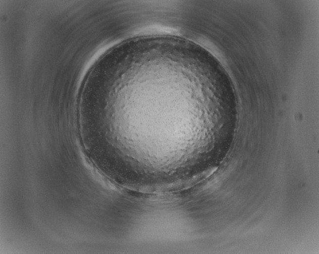 X0000070221008200605301426